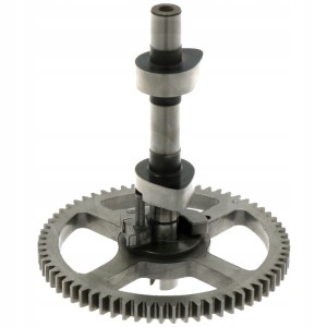 WAŁEK ROZRZĄDU SILNIKA BRIGGS STRATTON Intek AVS 793880