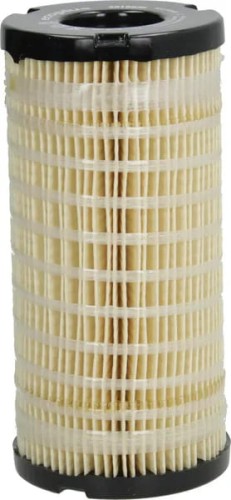 4816636.jpg