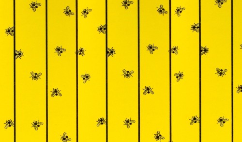 299842_1.j_b864.jpg