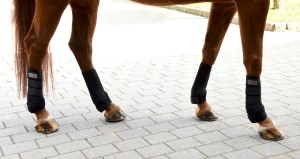 Ochraniacze dla konia, neoprenowe, czarny, roz. Pony, 4 szt., Covalliero