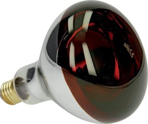 Promiennik HardGlass 250W czerwony