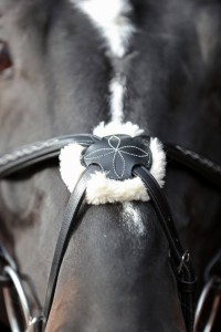 Ogłowie dla konia Cancun, czarny, roz. Pony, Covalliero