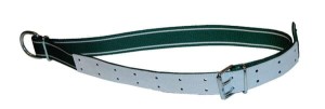 Obroża z ogniwem D Standard 150x5cm