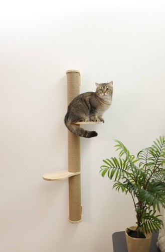 219455_Anwendungsbild__80918_b621.jpg