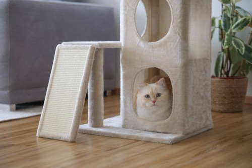 218284_Zusatzbild__80915_cf89.jpg