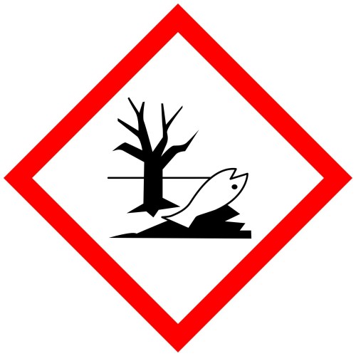 ghs09_bd9d.jpeg