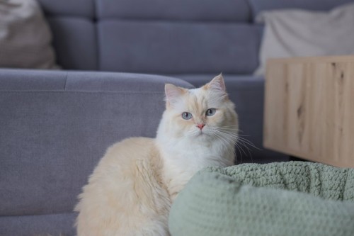 218282_Zusatzbild__80928_c0bd.jpg