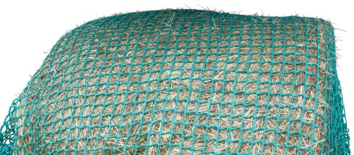 216166_Zusatzbild__291354_6a94.jpg