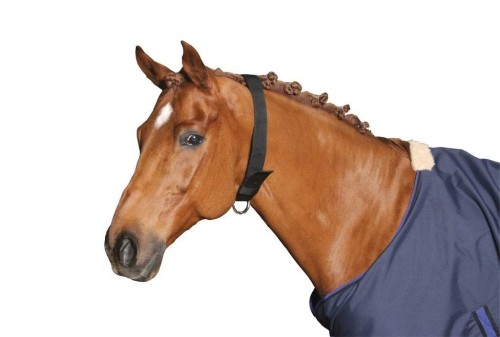 3266_ee79.jpeg