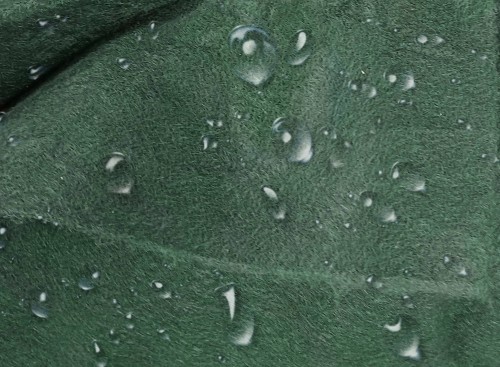 Fliz_3_336f.jpg