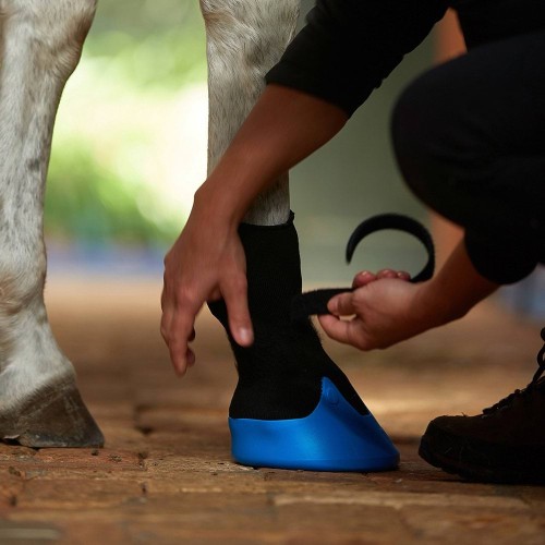 209790_Anwendungsbild__3210561_77b4.jpg