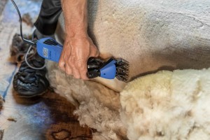 Maszynka do strzyżenia owiec FarmClipper 4, niebieski, Clipster