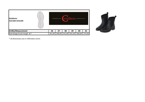 3231304_3231309_Ma__tabelle_RainBoots.pdf_5849.jpg