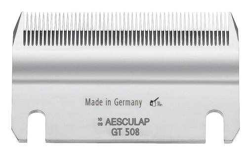 gt508.t_ca15.jpg