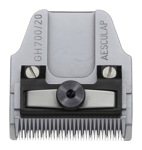 gh700.t_11eb.jpg