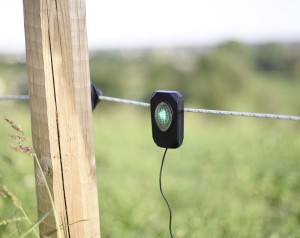 Sygnalizator napięcia-błyskowy do ogrodzeń elektrycznych, Kerbl