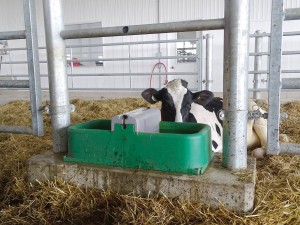 Poidło podgrzewane ISOBAC, 24V / 160W,  La Buvette