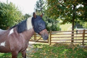 Maska przeciwowadowa dla konia, czarny, roz. Pony, Covalliero
