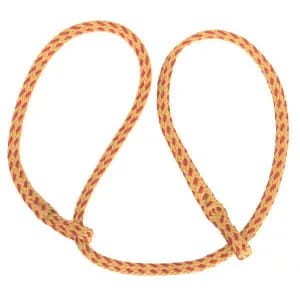 VV9810.jpg