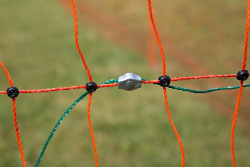 446517_26e6.jpg