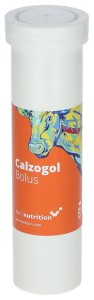 Bolus wapniowy dla krów zagrożonych porażeniem poporodowym, Calzogol Bolus, 4 x 175 g, Agrochemica
