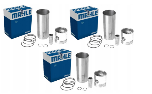 mahle.png